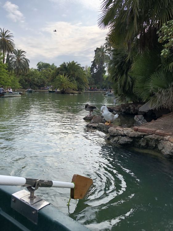 Fluss, Wasserstraße, Wasserressourcen, Wasser, Wasserlauf. Wallpaper in 1536x2048 Resolution