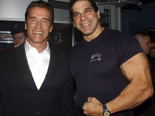 Image arnold schwarzenegger, actor, bodybuilding, muscle, arm