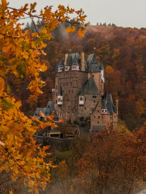 Image grey concrete castle surrounded by trees