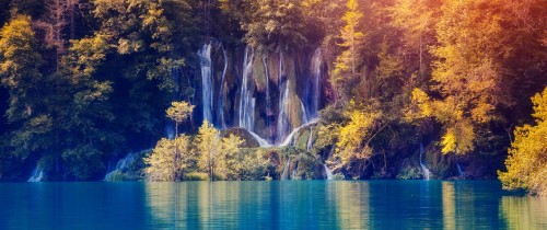 Image waterfalls in forest during daytime