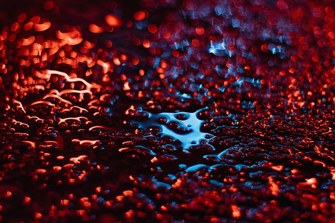 Eau, Red, Blue, la Pureté de la Couleur, Pluie. Wallpaper in 5723x3815 Resolution