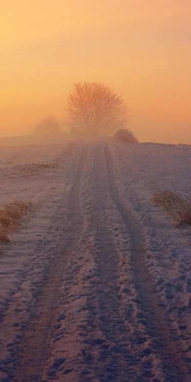 Steppe, Schnee, Winter, Tundra, Atmosphäre. Wallpaper in 1687x3374 Resolution