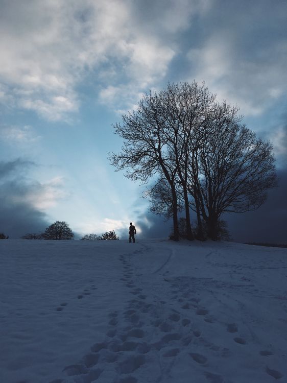 Nieve, Invierno, Congelación, Paisaje Natural, Ambiente. Wallpaper in 3024x4032 Resolution
