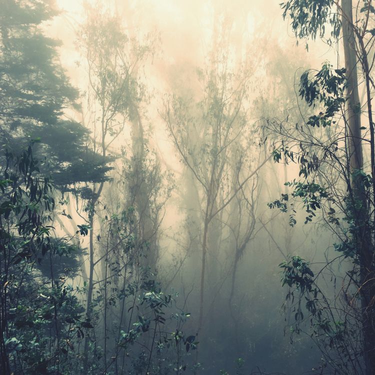 Nokia, Smartphone, 6 7 In, Nokia C01 Plus 4G, Nokia C30 Ta-1359ds 3 64gb Weiß. Wallpaper in 1760x1760 Resolution