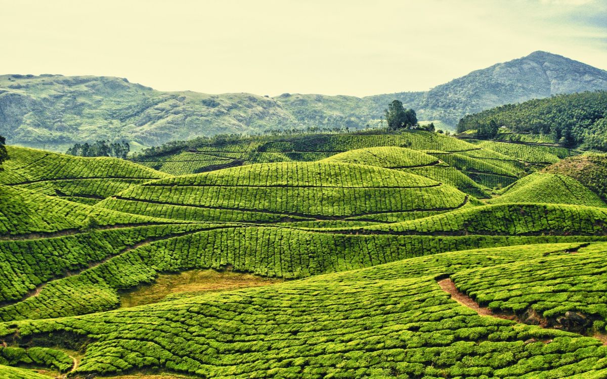 green grass field near mountain during daytime