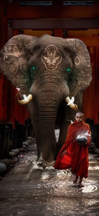 Los Elefantes y Mamuts, Templo, el Elefante Africano, Elefante Indio, Los Animales Terrestres. Wallpaper in 1080x2340 Resolution