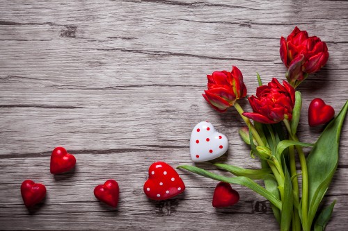 Image red tulips on gray wooden surface