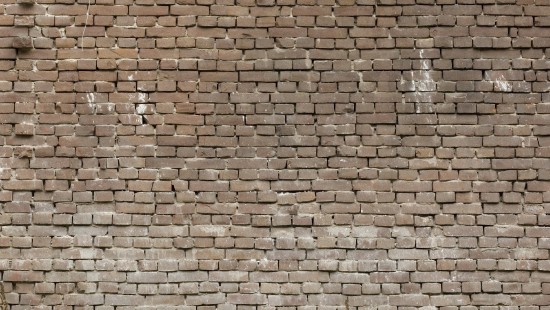 Image brown brick wall during daytime