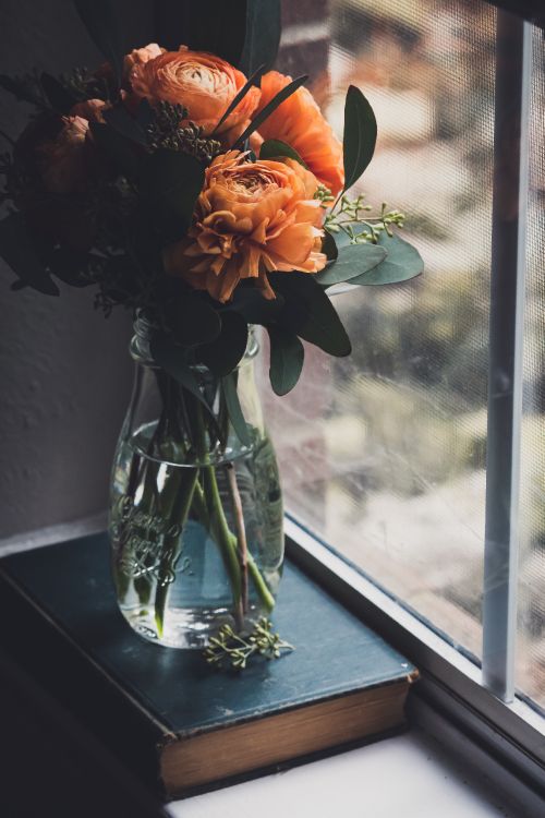 orange roses in clear glass vase