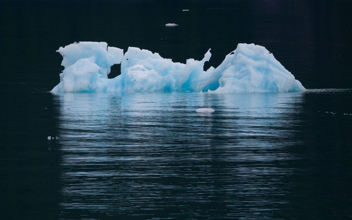 Eis Auf Wasser Tagsüber. Wallpaper in 2560x1600 Resolution