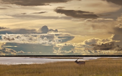 Image white and black clouds over the sea