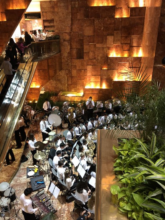 楼梯, 盆栽 壁纸 1536x2048 允许