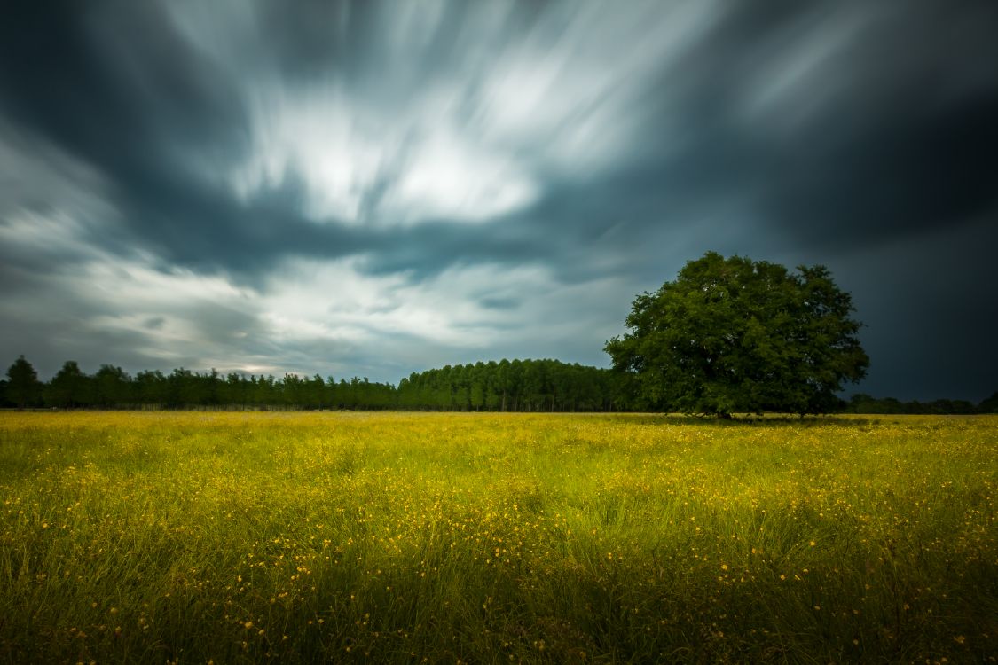 Campo de Hierba Verde Bajo un Cielo Azul Durante el Día. Wallpaper in 3717x2478 Resolution