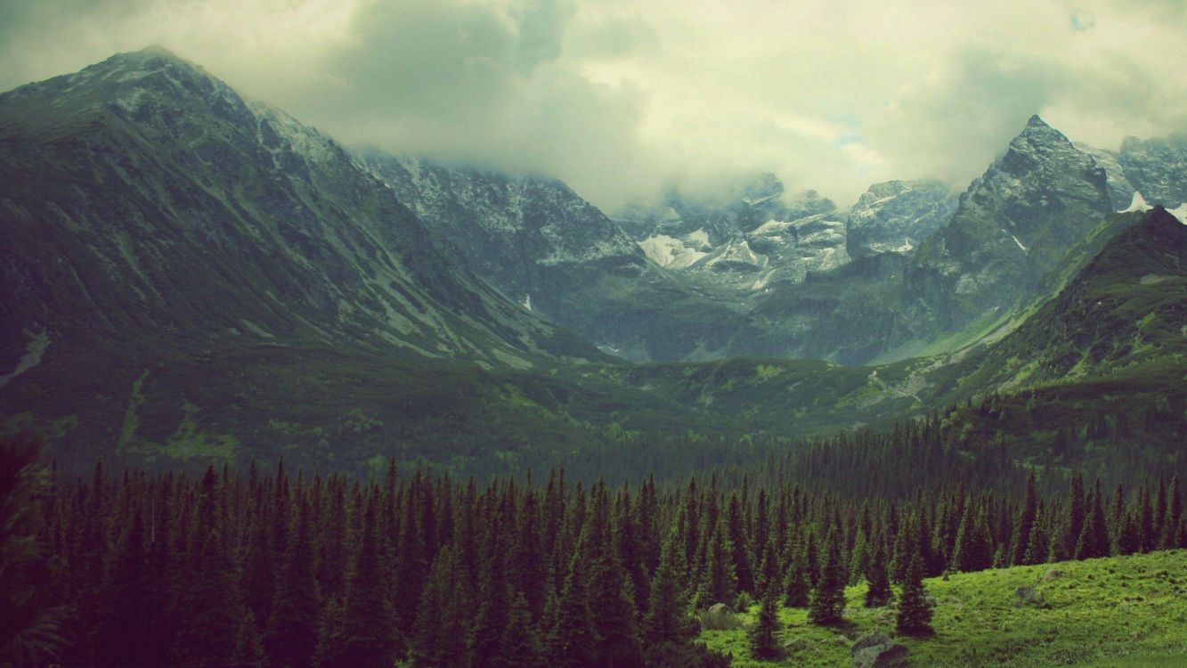 green trees near mountain under cloudy sky during daytime