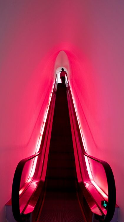 Luces de la Tienda de Barbie en Shanghai, Barbie, Barbie Shanghái, Arquitectura Slade, Mattel. Wallpaper in 1080x1920 Resolution