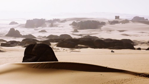 Image black and white rock formation on white sand during daytime