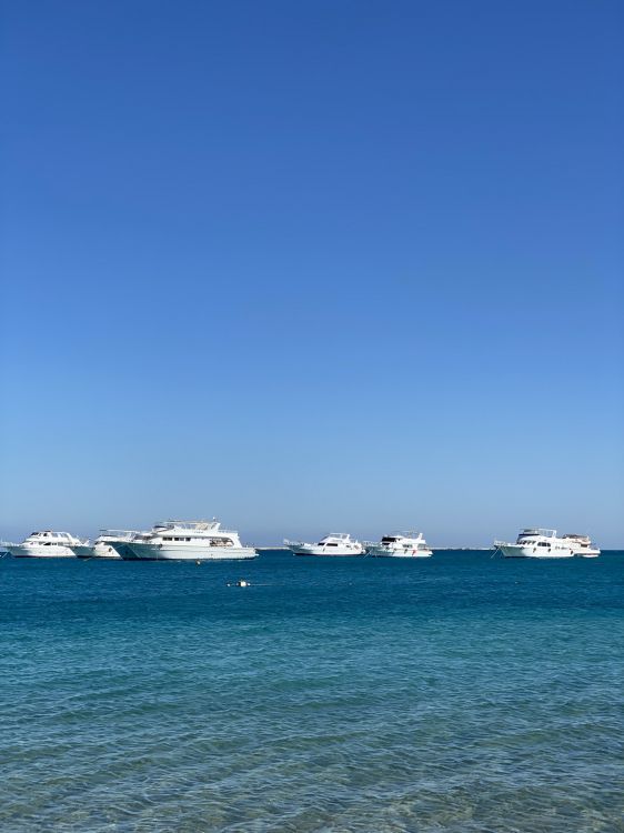 Mar, Agua, Barco, Moto de Agua, Arquitectura Naval. Wallpaper in 1536x2048 Resolution