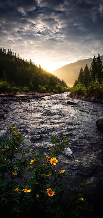 Natur, Cloud, Wasser, Wasserressourcen, Ökoregion. Wallpaper in 1422x3000 Resolution