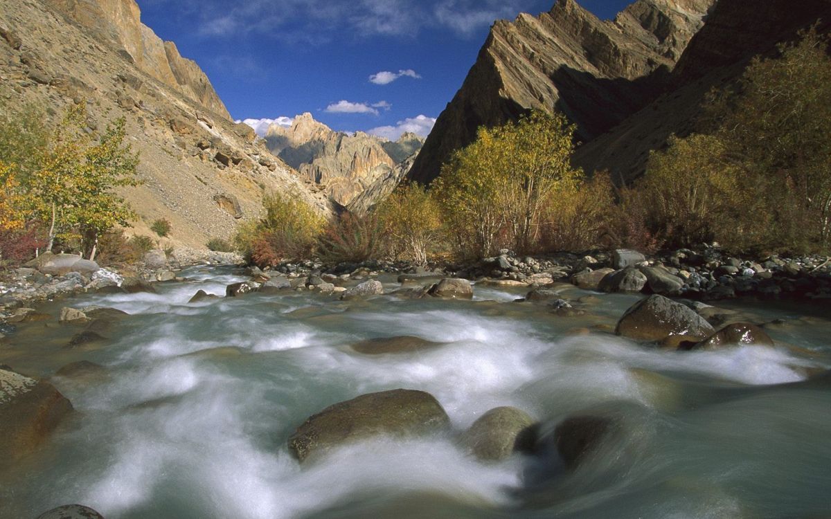 Río Entre Árboles y Montañas Durante el Día. Wallpaper in 2560x1600 Resolution