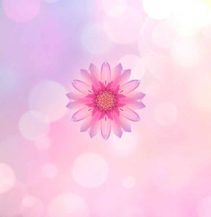 Huawei, Huawei Honor 10, Honneur 10, Honneur 9n, Smartphone. Wallpaper in 2160x2220 Resolution