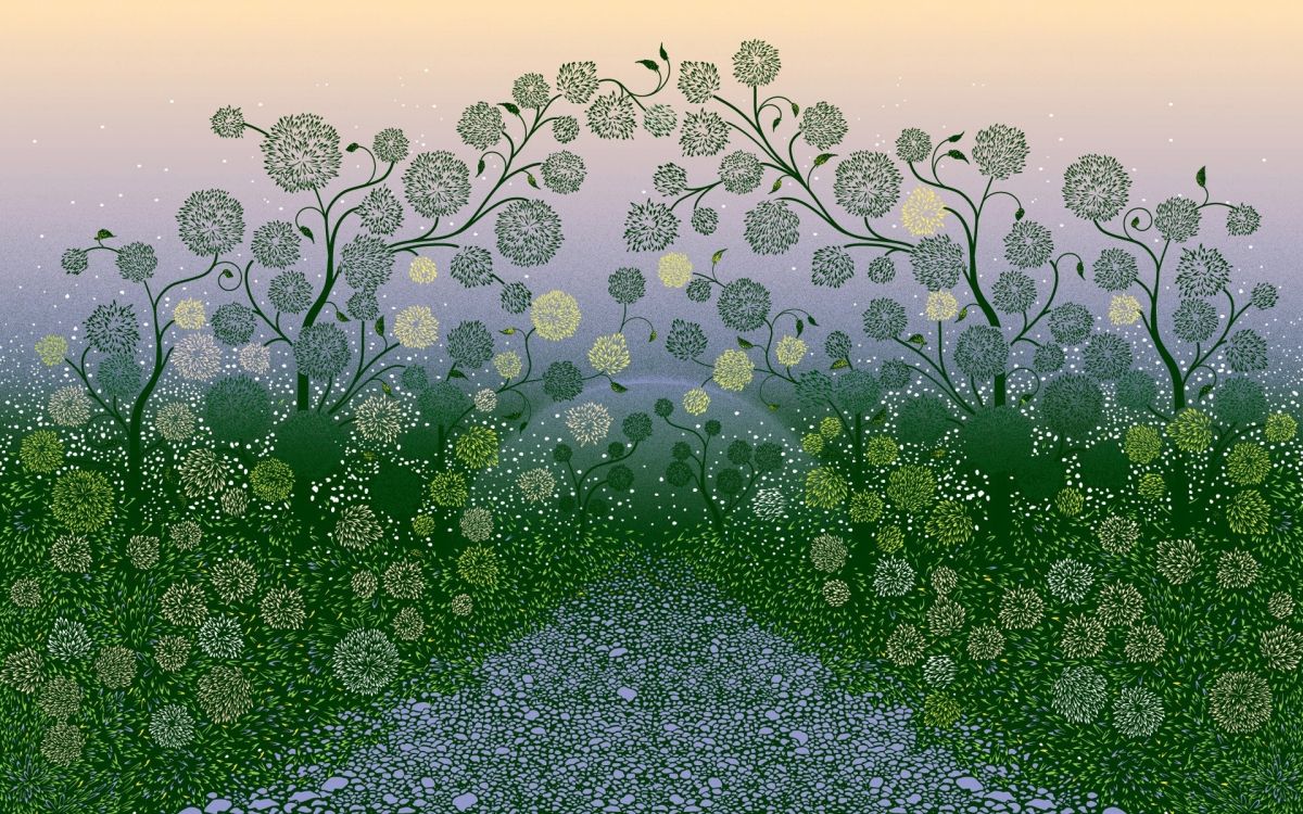 Plante Verte Sur Sable Noir. Wallpaper in 1920x1200 Resolution