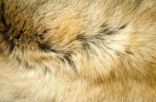 Image brown and black fur textile