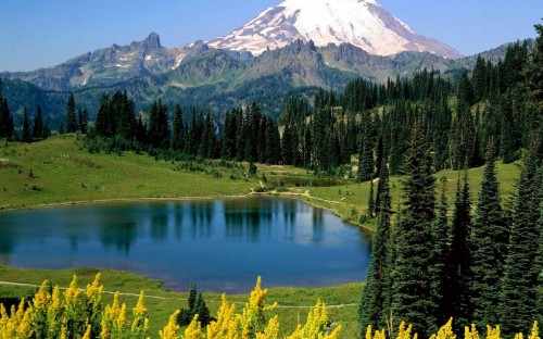 Image green trees near lake and mountain during daytime