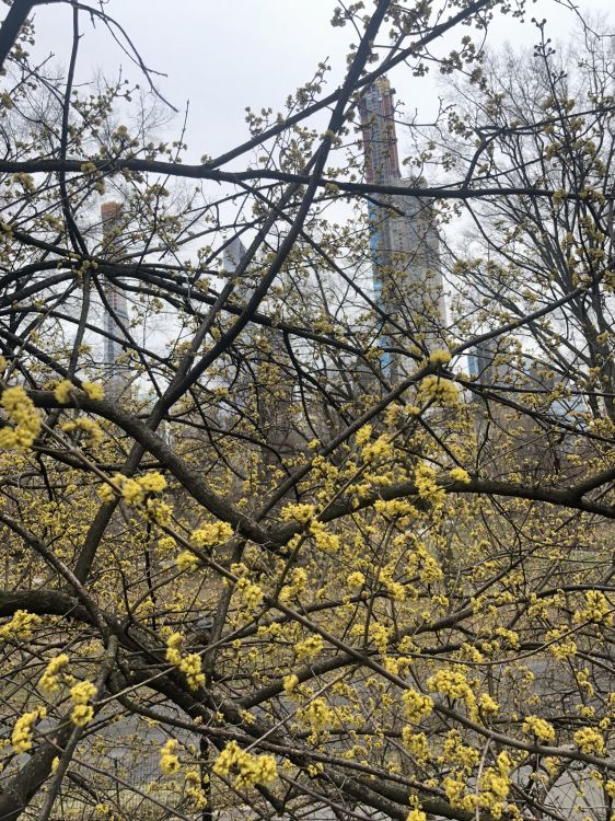 Feuille, Sciences, Biologie, Plante, Physique. Wallpaper in 1536x2048 Resolution