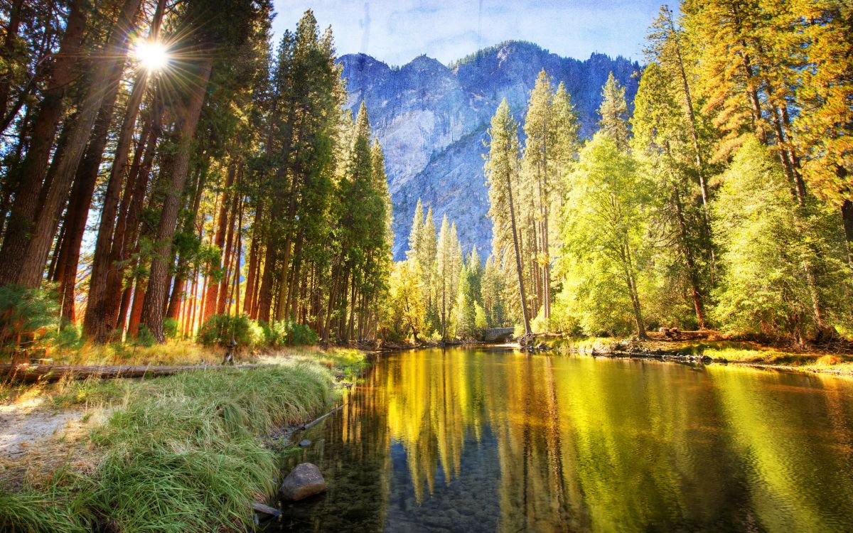 Árboles Verdes y Marrones Cerca Del Lago Durante el Día. Wallpaper in 2560x1600 Resolution