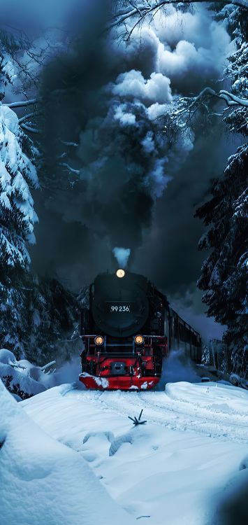 Neige, Train, L'éclairage Automobile, Matériel Roulant, Environnement Naturel. Wallpaper in 1421x3000 Resolution