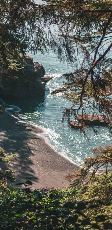Image forest, nature, natural landscape, water, natural environment