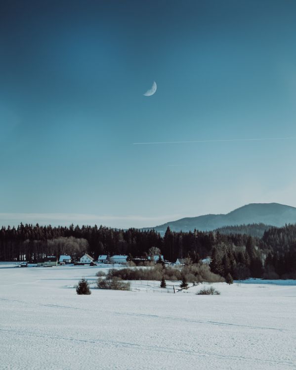 la Pintura de Paisaje, Nieve, Invierno, Congelación, Luna. Wallpaper in 3491x4364 Resolution