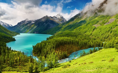 Image green trees on green grass field near body of water under blue sky during daytime