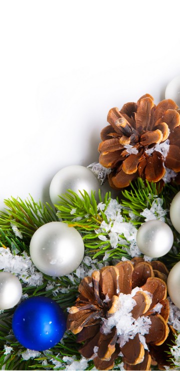 Image Christmas Day, new year, christmas decoration, christmas ornament, tree