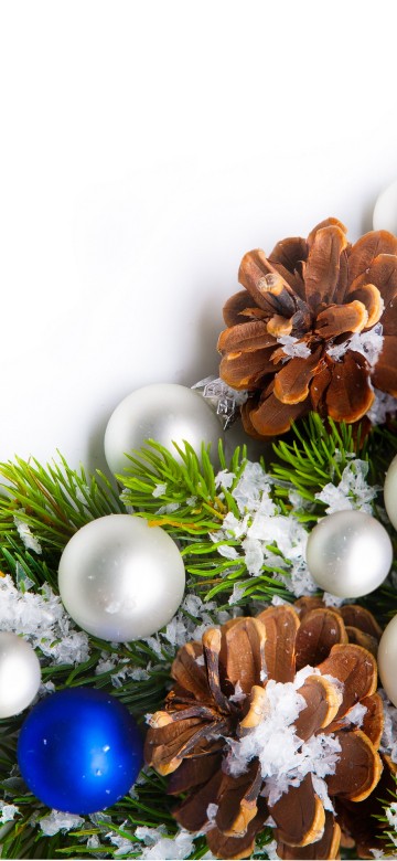 Image Christmas Day, new year, christmas decoration, christmas ornament, tree