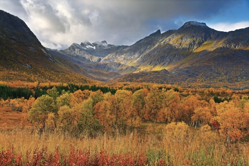 Image brown and green mountains under white clouds during daytime