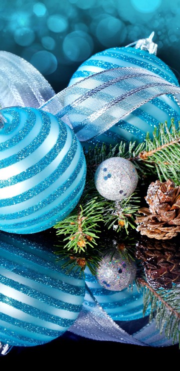 Image Christmas Day, christmas decoration, new year, christmas tree, tree