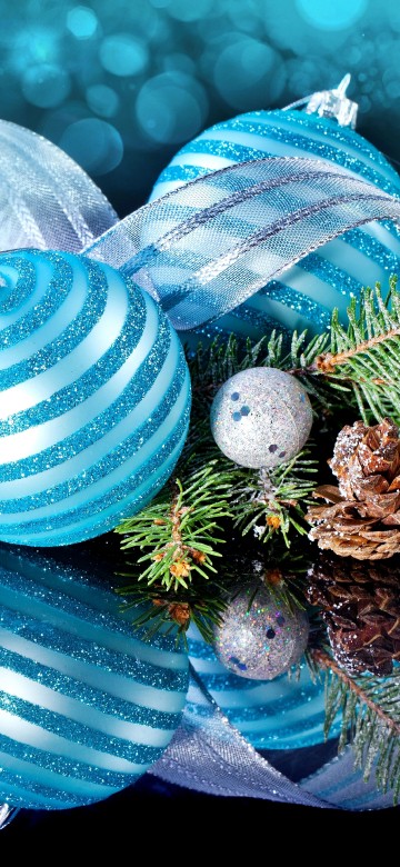 Image Christmas Day, christmas decoration, new year, christmas tree, tree