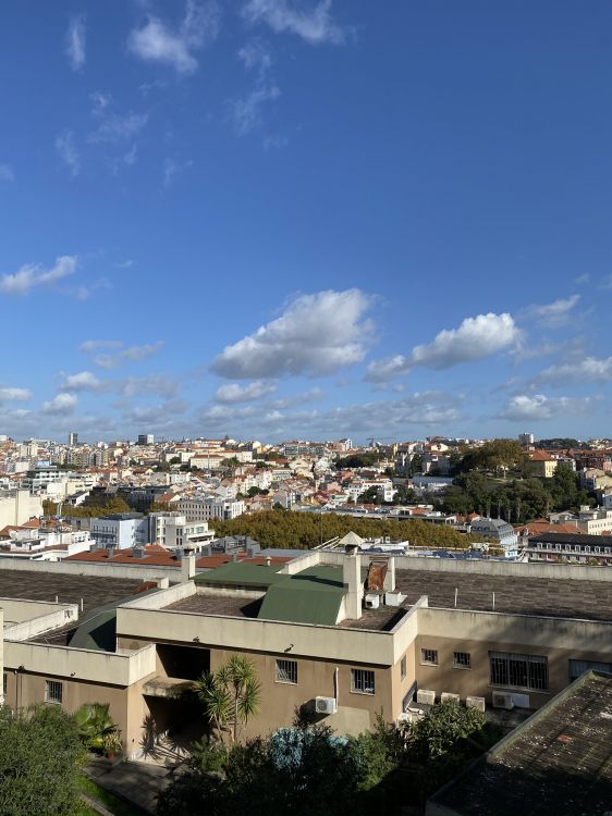 房地产, 住宅区, 街区, 屋顶 壁纸 1536x2048 允许