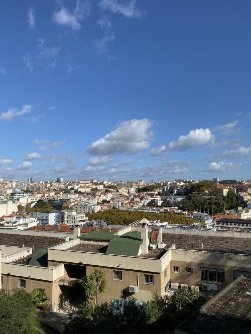 Image real estate, daytime, residential area, cloud, neighbourhood