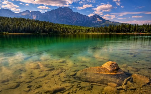 Image green trees near lake during daytime