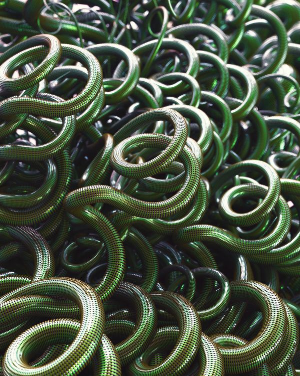 Piel de Serpiente Verde y Negra. Wallpaper in 3000x3750 Resolution