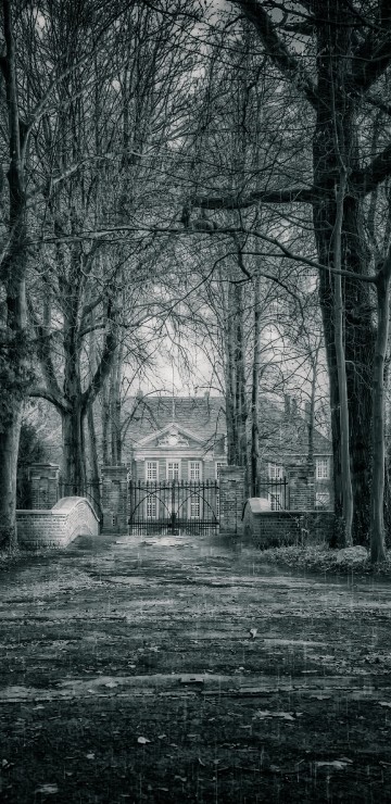 Image grayscale photo of trees and house