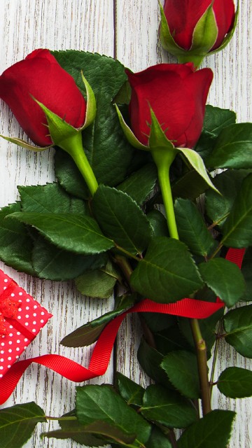Image red rose on white wooden surface