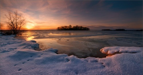 Image body of water near trees during sunset