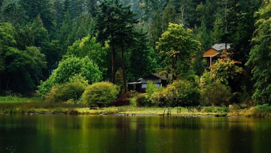 Image brown and white house near green trees and lake during daytime