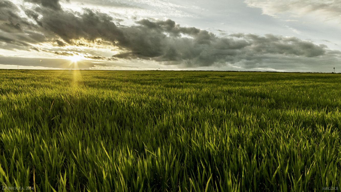 Champ D'herbe Verte Sous un Ciel Nuageux Pendant la Journée. Wallpaper in 4229x2379 Resolution