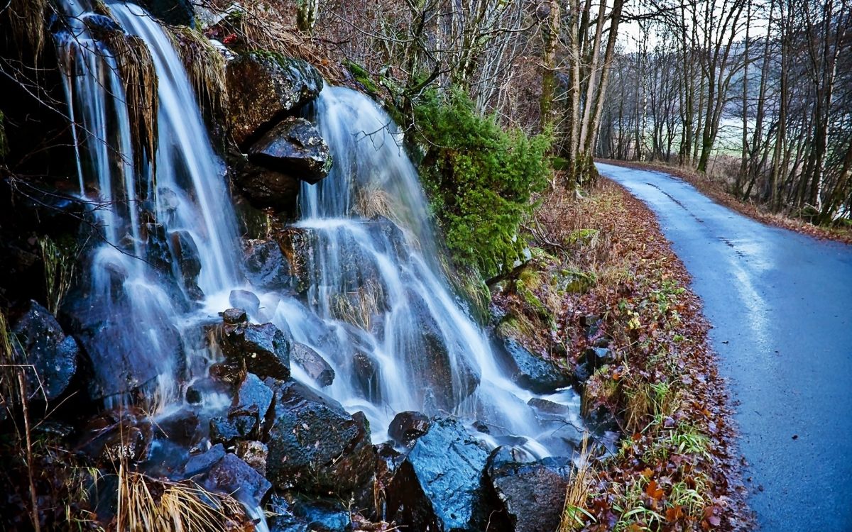 water falls in the middle of the forest