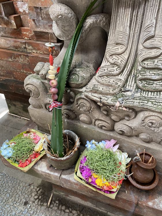 bali, flower, flowerpot, art, flower arranging