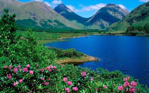 Image green and brown mountain beside body of water during daytime